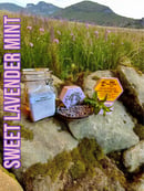 Image 4 of Soap-Free Shampoo Bars