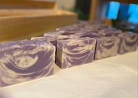 Image 1 of Evon's Lilac