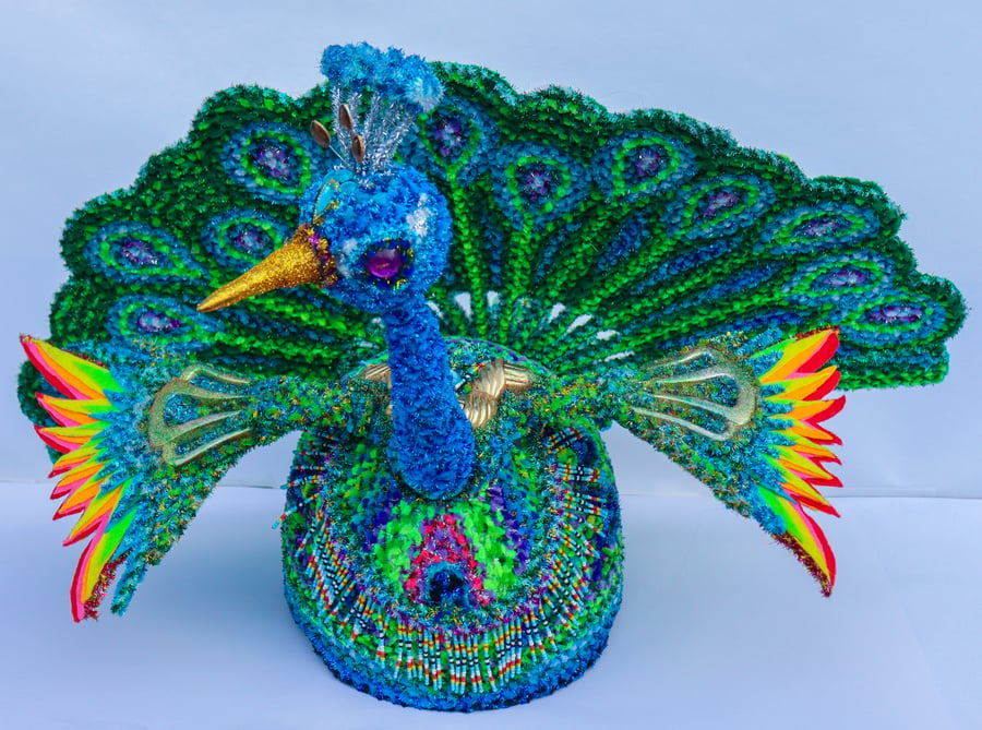 Image of Peacock Hat