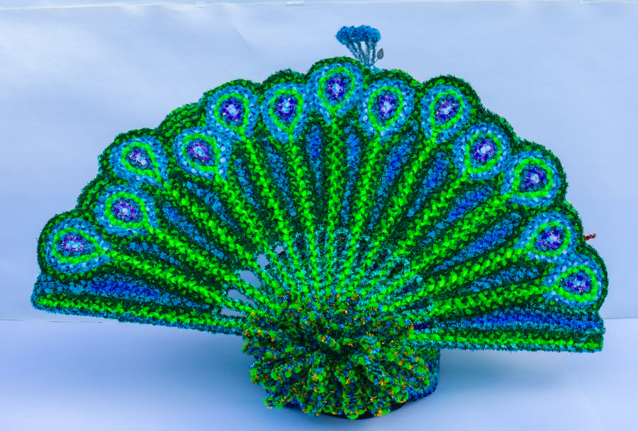 Image of Peacock Hat