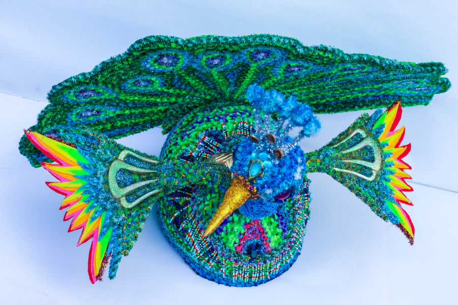Image of Peacock Hat