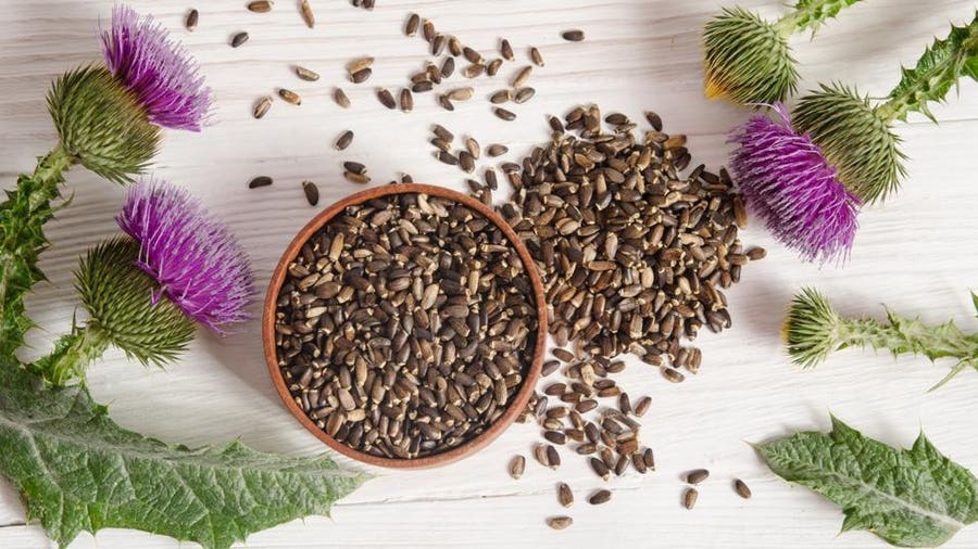 HEALthy LIVEr! Milk Thistle Seed Detoxer. Bones-Heart-Chemo-Diabetes-Cognition-Lactation-Hepatitis