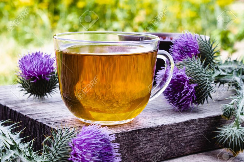 HEALthy LIVEr! Milk Thistle Seed Detoxer. Bones-Heart-Chemo-Diabetes-Cognition-Lactation-Hepatitis