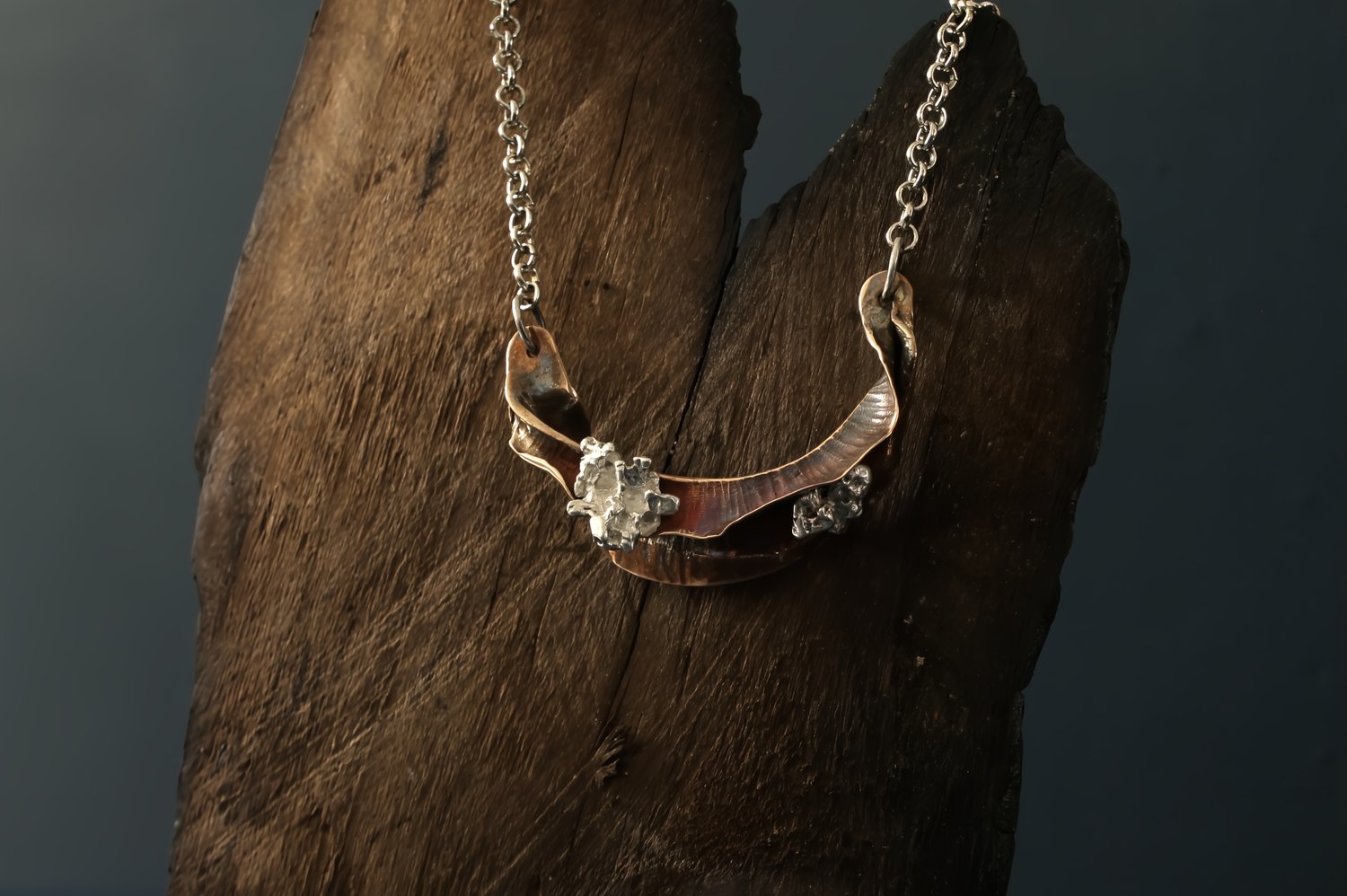 Image of Host necklace