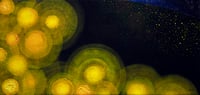 Image 1 of City lights, far horizon