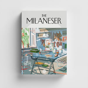 Image of The Milaneser Book
