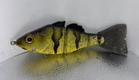 Perch profile