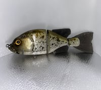 Image 1 of Crappie profile 