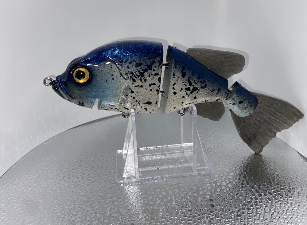 Crappie profile - Image 2