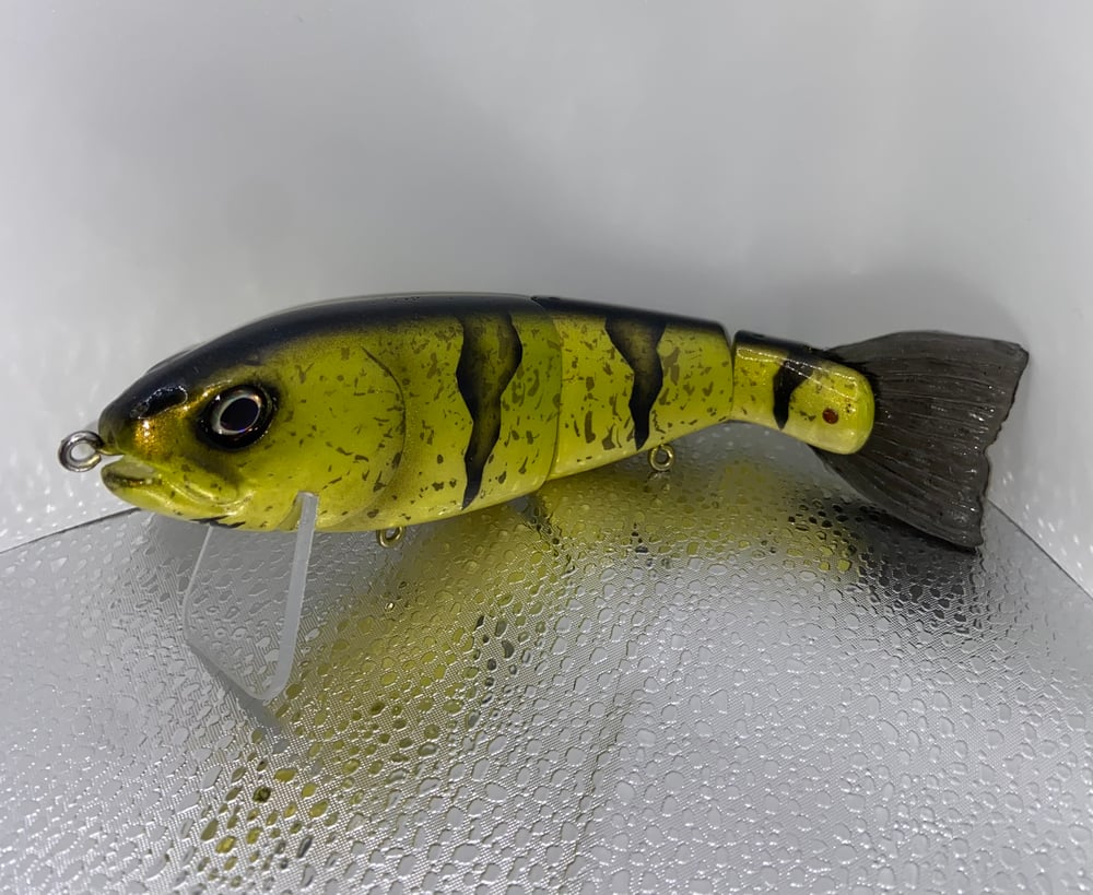 8” trout profile - Image 2