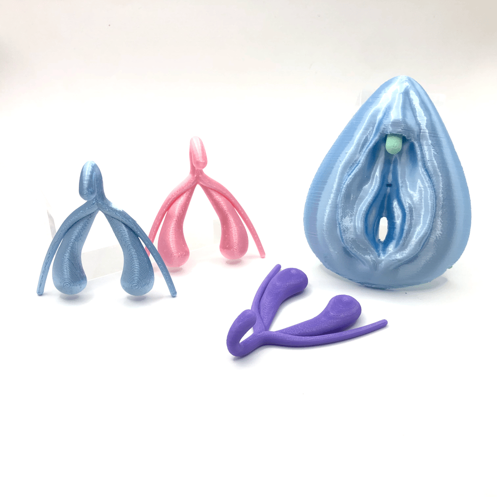 Image of Vulva + Clitoris - Detachable - 3D printed