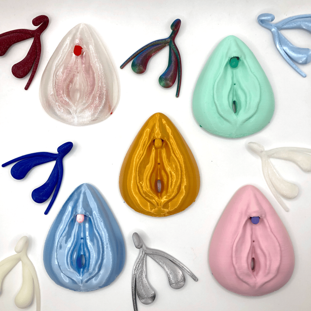 Image of Vulva + Clitoris - Detachable - 3D printed