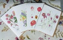 Botanical Cards x 4