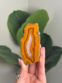 Image 1 of CONDOR AGATE -ARGENTINA- F