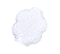 Image 1 of  Coral Vase 