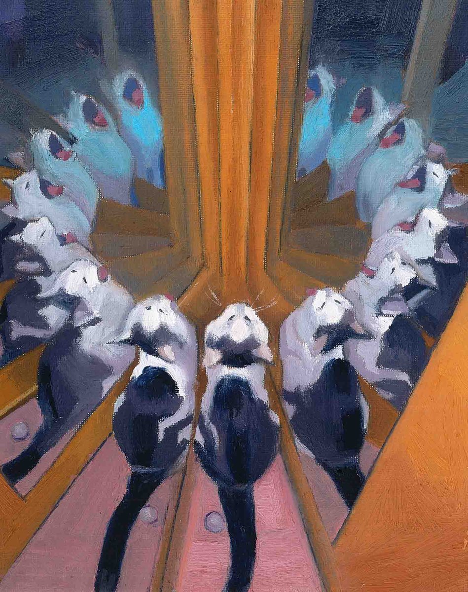 Infinity Cat (Print) | Daniel Arthur