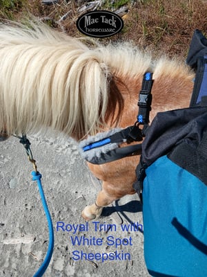 Image of Breastplate for Miniature Horse