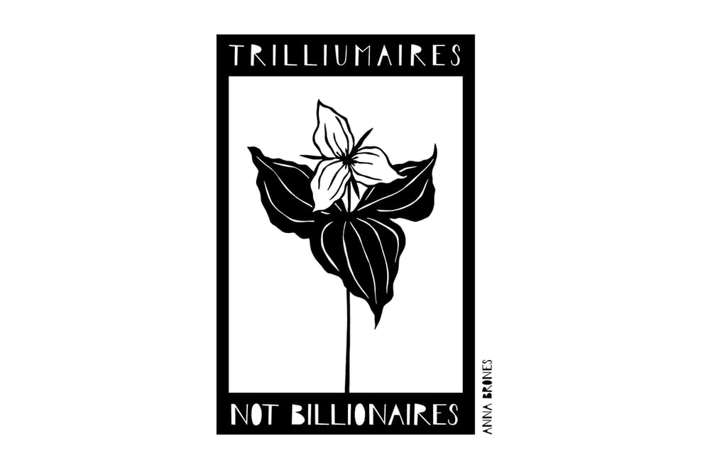 Image of "Trilliumaires Not Billionaires" Stickers