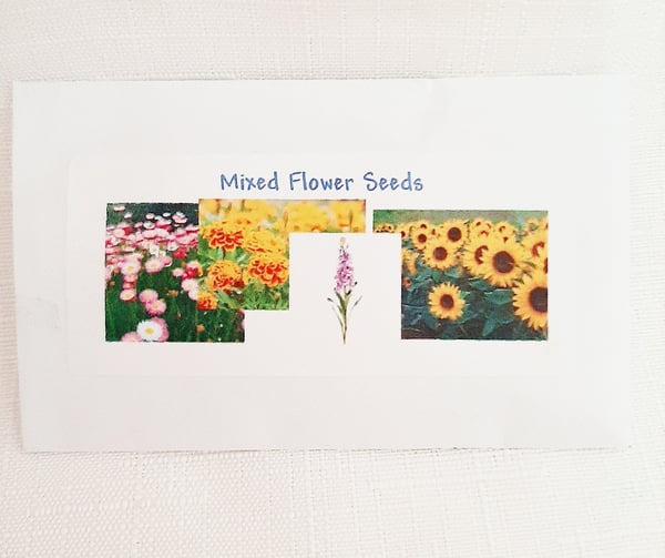 Image of Mixed flower seeds