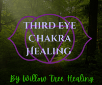 Image 1 of Third Eye Chakra Guided Healing 