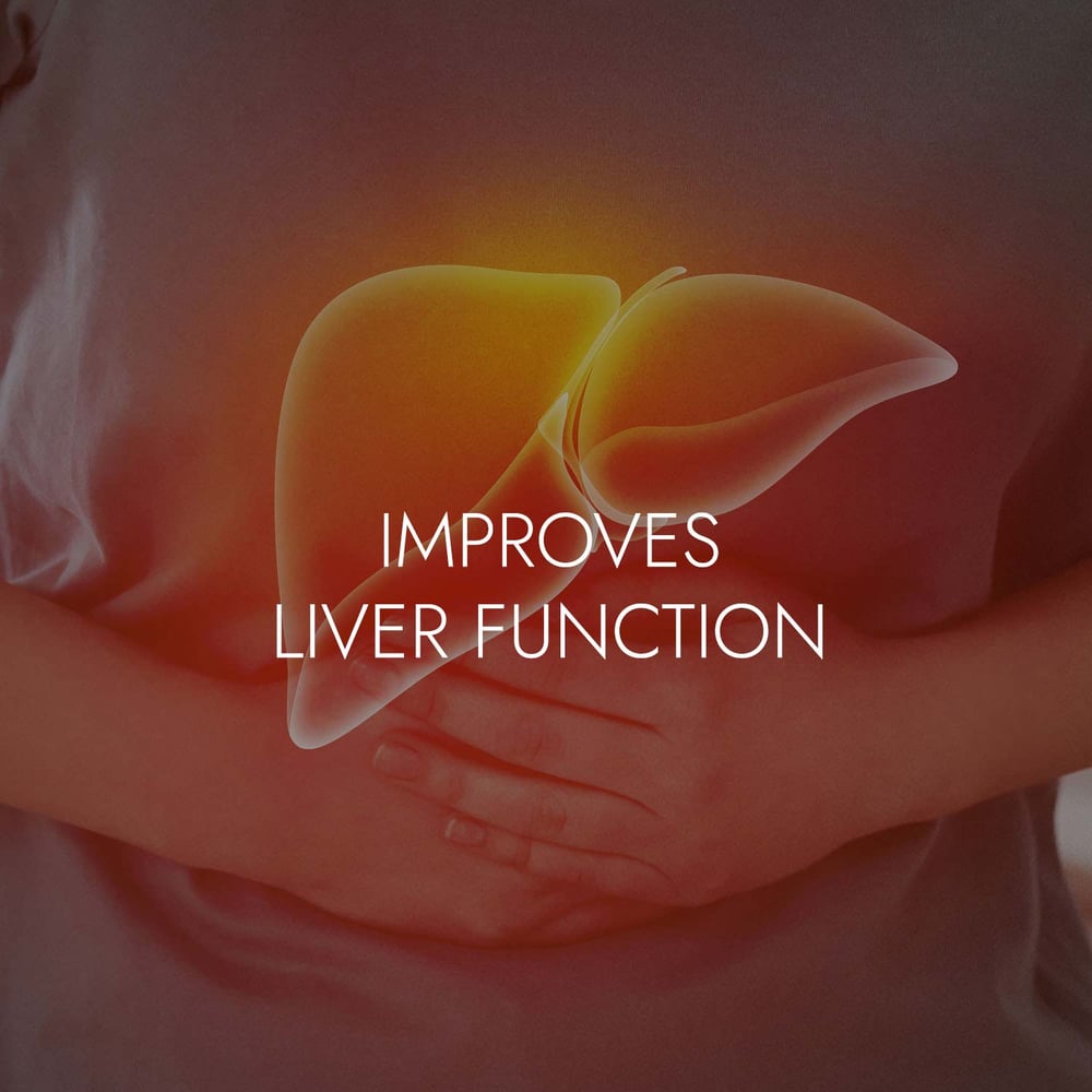 HEALthy LIVEr! Milk Thistle Seed Detoxer. Bones-Heart-Chemo-Diabetes-Cognition-Lactation-Hepatitis
