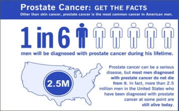 HEALthy LIVEr! Milk Thistle Seed Detoxer. Bones-Heart-Chemo-Diabetes-Cognition-Lactation-Hepatitis