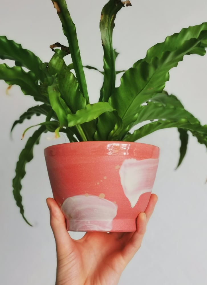 Image of Pink Planter 