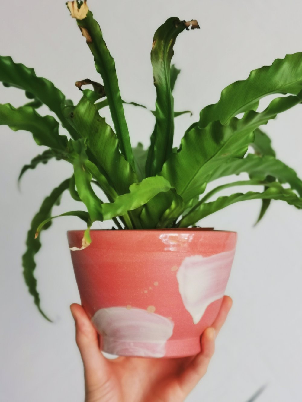 Image of Pink Planter 