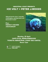 ICE VOLT + PETER J.WOODS - LIVE