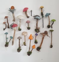 Image 1 of Fungi Sculpture and Watercolour Painting Workshops (over two sessions)