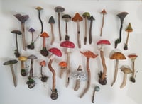 Image 4 of Fungi Sculpture and Watercolour Painting Workshops (over two sessions)