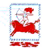 Image 2 of Camiseta Amazona 