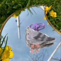Image 2 of Pigeon Acrylic Charm