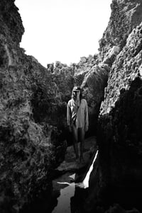 Image 5 of "Wild Beyond Belief"
