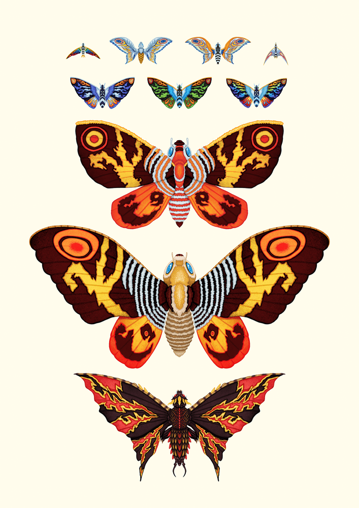 Image of Mothra-ology