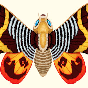 Image of Mothra-ology