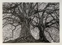 Image 1 of ‘I Found Myself Within a Forest Dark’  Original Lino Print