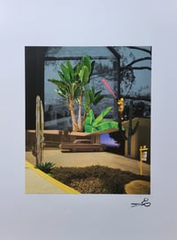 Image 1 of 'L.A Jungle' (Framed)