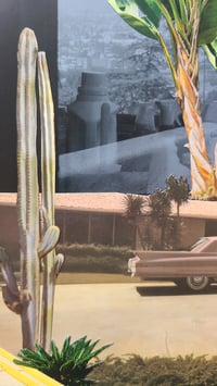 Image 5 of 'L.A Jungle' (Framed)