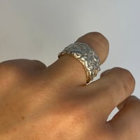 Image 2 of Texture Band #3