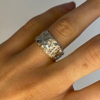 Image 3 of Texture Band #3