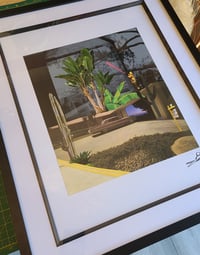 Image 6 of 'L.A Jungle' (Framed)