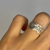 Image 2 of Texture Band #2