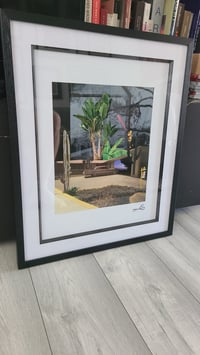 Image 7 of 'L.A Jungle' (Framed)