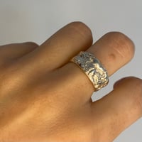 Image 2 of Texture Band #1