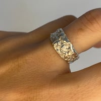 Image 1 of Texture Band #1