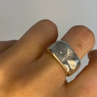 Image 2 of Scratched Signet #3