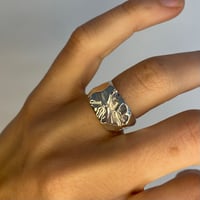 Image 3 of Scratched Signet #1