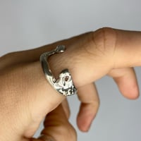 Image 1 of Weirdo Stones