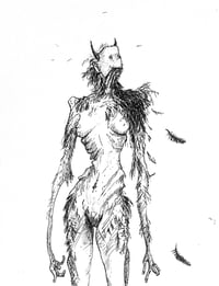 Image 2 of Molt